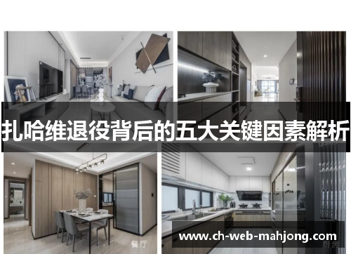 扎哈维退役背后的五大关键因素解析 扎哈维退役背后的五大关键因素解析