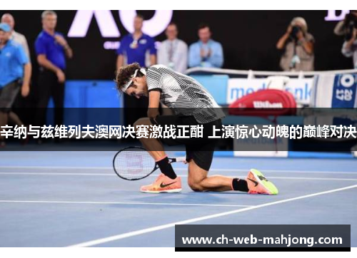 辛纳与兹维列夫澳网决赛激战正酣 上演惊心动魄的巅峰对决 辛纳与兹维列夫澳网决赛激战正酣 上演惊心动魄的巅峰对决