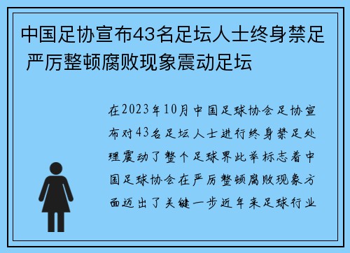 中国足协宣布43名足坛人士终身禁足 严厉整顿腐败现象震动足坛